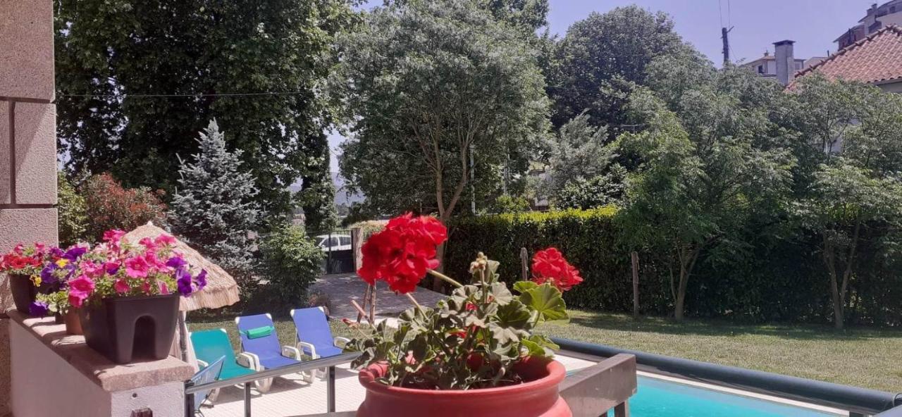 Garden & Pool - Alojamentos Celorico De Basto