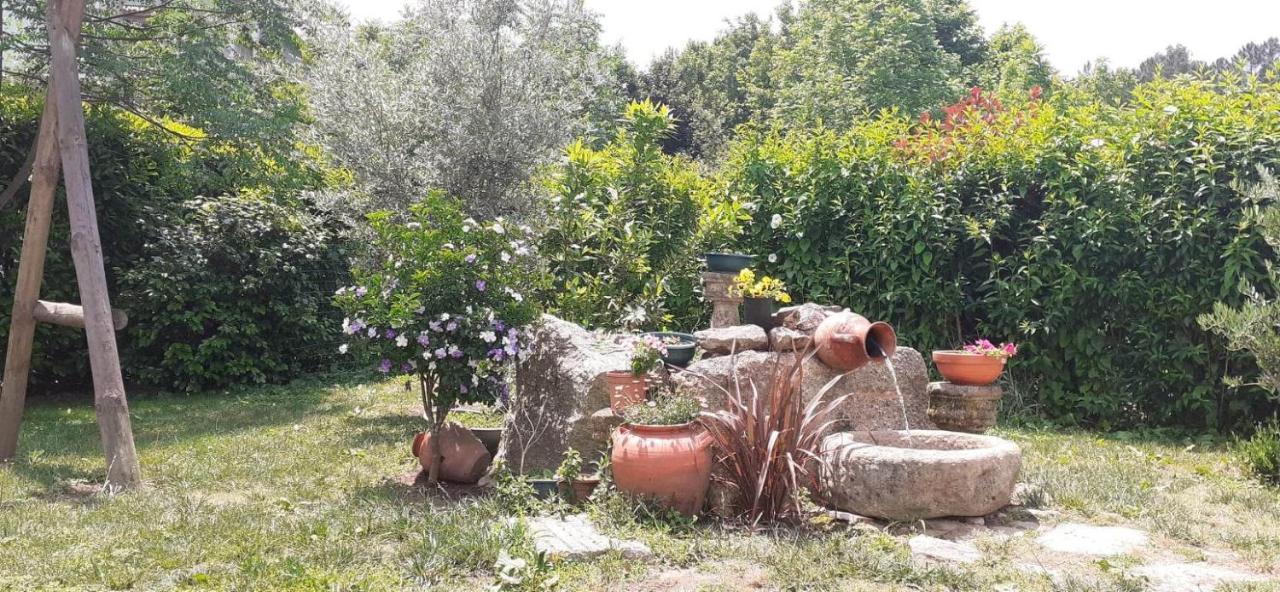 Garden & Pool - Alojamentos Holiday home Celorico De Basto